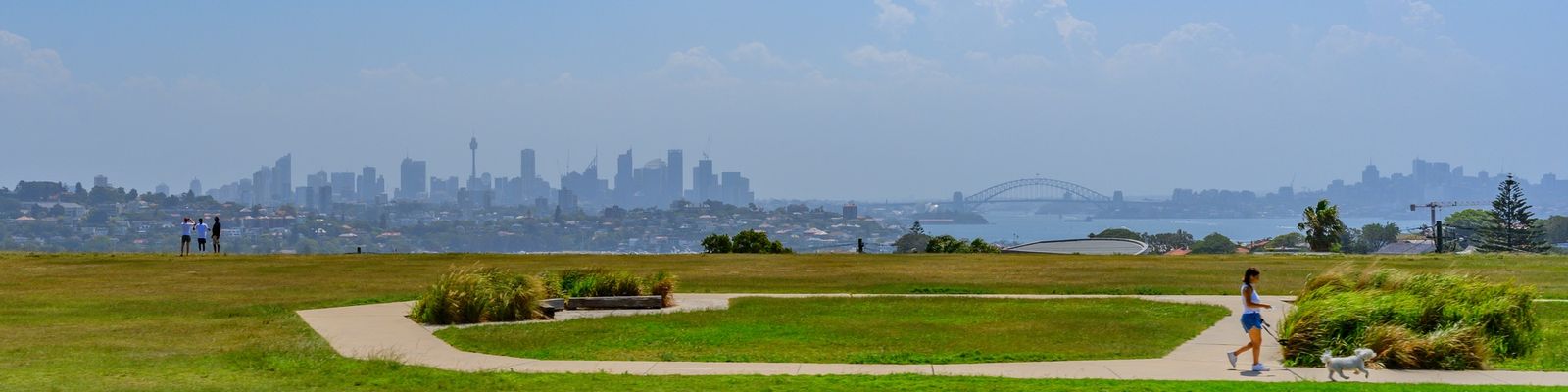 The wide lawn of Dudley Page Reserve with the city skyline and Harbour Bridge on the north-west horizon