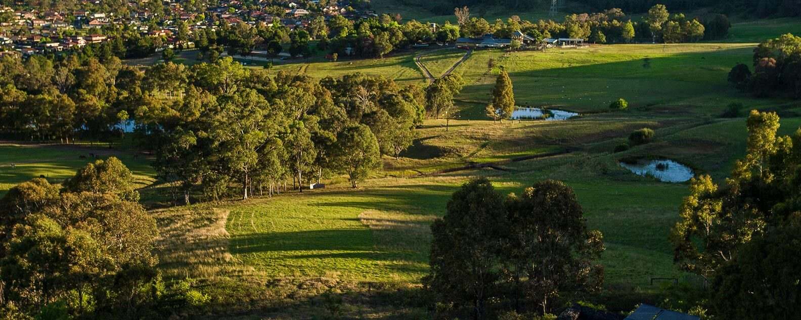 Open paddocks and lawns of the Western Sydney Parklands seen from the Sugarloaf ridgeline in late light